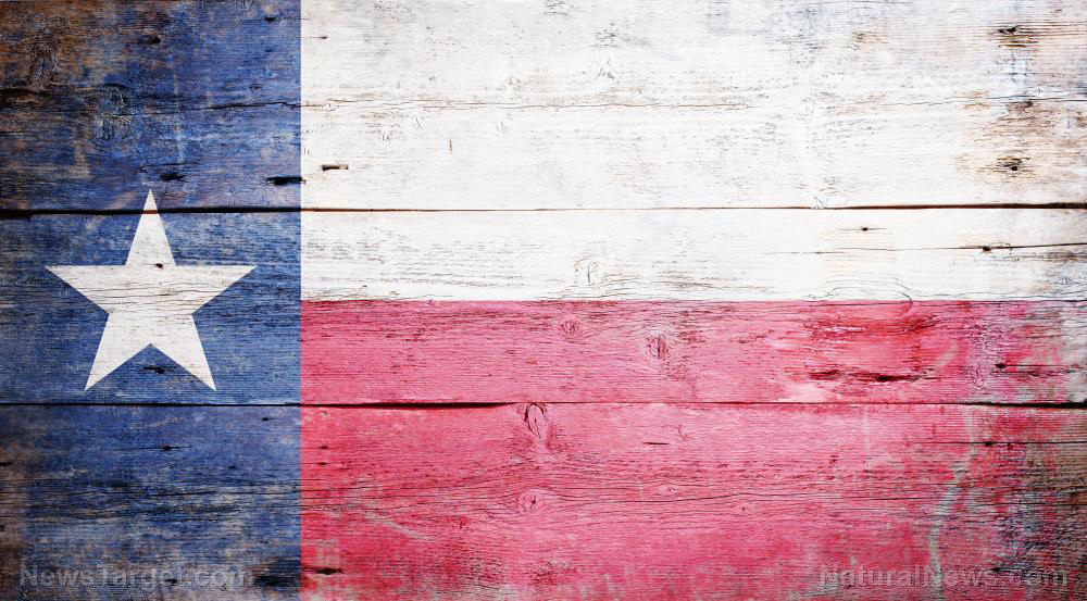 Donald Trump,pas si mauvais? - Page 11 Texas-Flag-Background-Wood-State-Texture-Wall